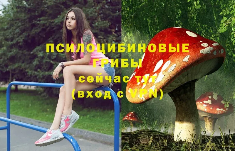 Псилоцибиновые грибы Magic Shrooms  Кодинск 